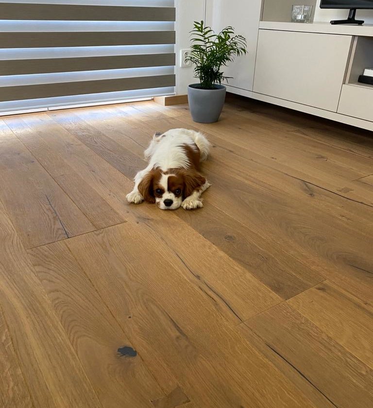 Timber Top - Dub Castle Castelvecchio